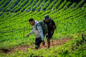 BIB: 
                            <button type="button" onclick="openModal(19162892)" class="btn btn-primary btn-sm float-right btn-popup" data-toggle="modal" data-target=".modal-high-quality">
                        <i class="fas fa-shopping-cart"></i> Add to Cart
                    </button>
                                            <button type="button" onclick="isThisMe(19162892, true)" class="btn btn-success btn-sm float-right btn-popup btn-isme hidden" data-toggle="tooltip" data-placement="bottom" title="นี่คือรูปของคุณใช่ไหม คลิกที่นี่เพื่อเอาเข้าอัลบั้ม">
                        <i class="fas fa-plus"></i> Add to album
                    </button>
                    <button type="button" onclick="isThisMe(19162892, false)" class="btn btn-warning btn-sm float-right btn-popup btn-isnotme hidden">
                        <i class="fas fa-ban"></i> Remove from album
                    </button>